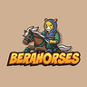 Logo of Bera Hoses